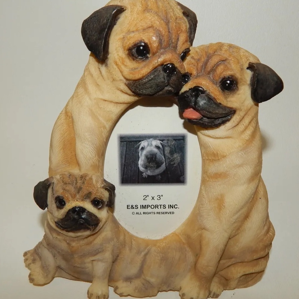 C & S PHOTO PUG DOG FRAME